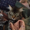 Gary Chevalier - @GaryChevalier1 - Twitter