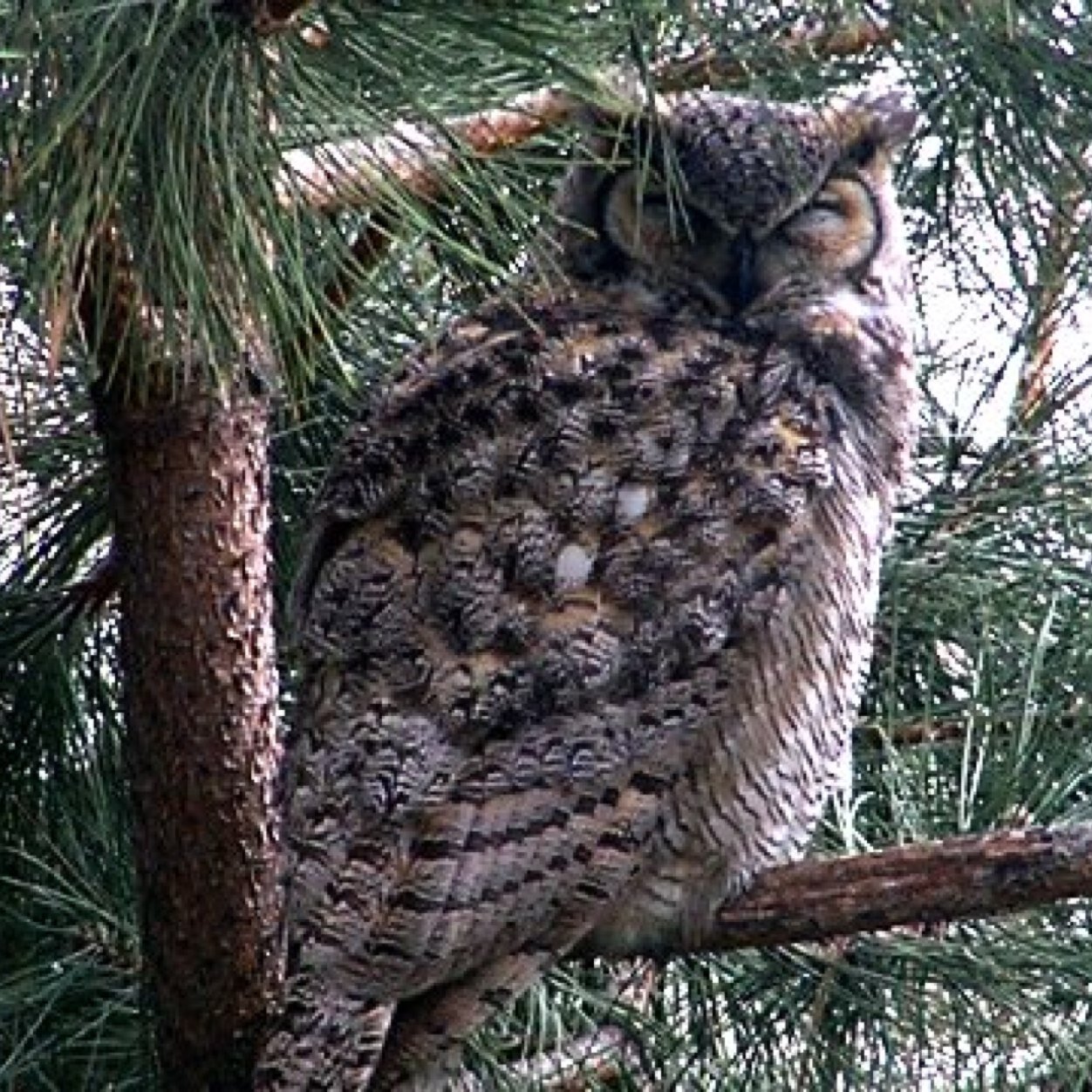 JNINEK326's profile picture. 