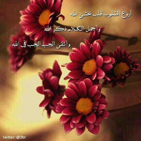 FtonWsam's profile picture. كن متفائلا ولا تقنط من رحمة الله، فغدا يخبأ لك مسرات جميلة وأفراح عظيمة، فقط اعمل بالأسباب وادعو الله.