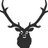 carmichaeluk's profile image