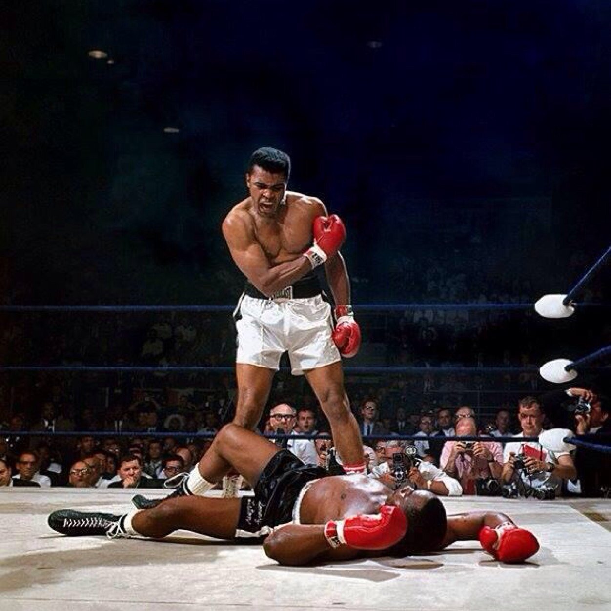 BOXINGGOAT's profile picture. 