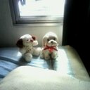 Freddy Daniel Duarte - @mamelo300 - Twitter