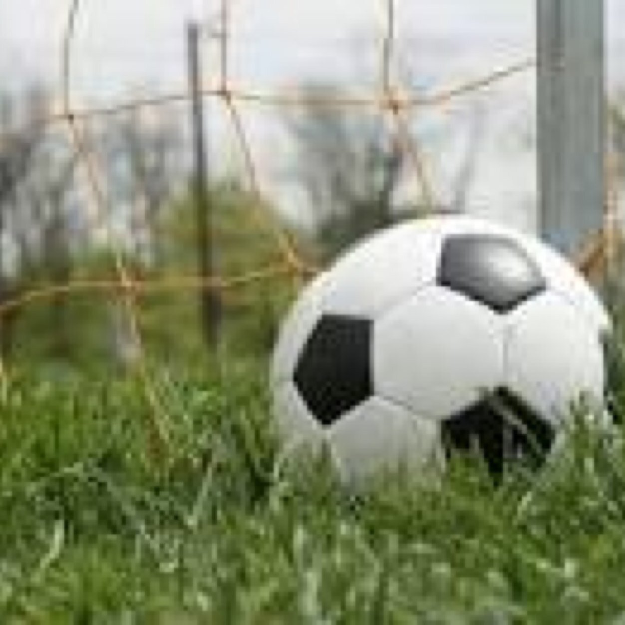 voetbal account met live verslagen, transfers, uitslagen & opstellingen