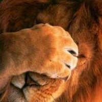 francesco ciliento (@francescocilien) 's Twitter Profile