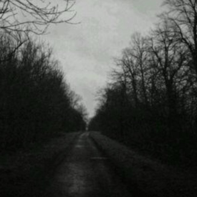 flawedsuicides's profile picture. How do you run away from the things in your head?