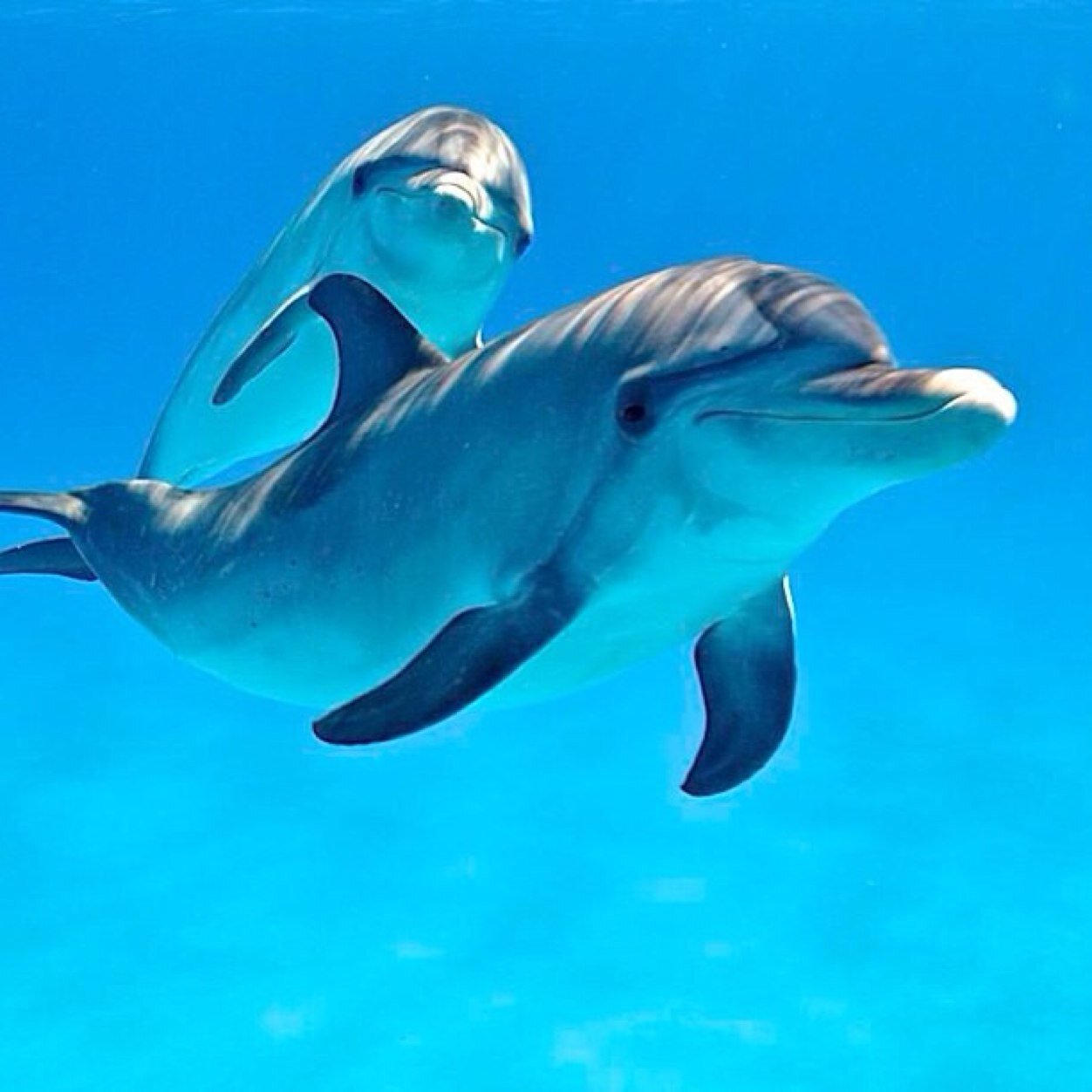 Serri75Serri's profile picture. Mi chiamo Manuela sono di Cagliari e orgogliosa di essere sarda.Sono dolce e sensibile