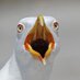 Larus (@onlygulls) Twitter profile photo Larus (@onlygulls) Twitter profile photo