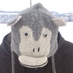 Libor Zoubek (@lzoubek) Twitter profile photo