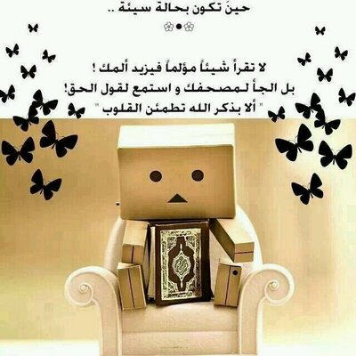 رسائل زواج صديقتي ليدي بيرد
