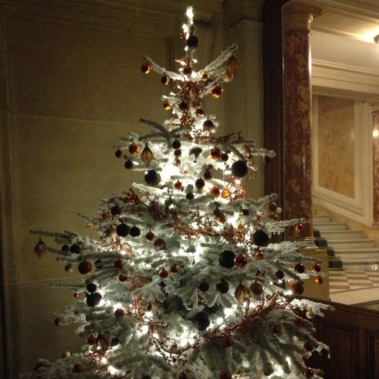 OracledeDelph's profile picture. 