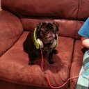 Jennifer Card - @jene0622 - Twitter