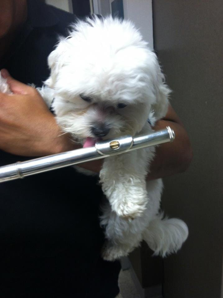 eamflutes's profile picture. 