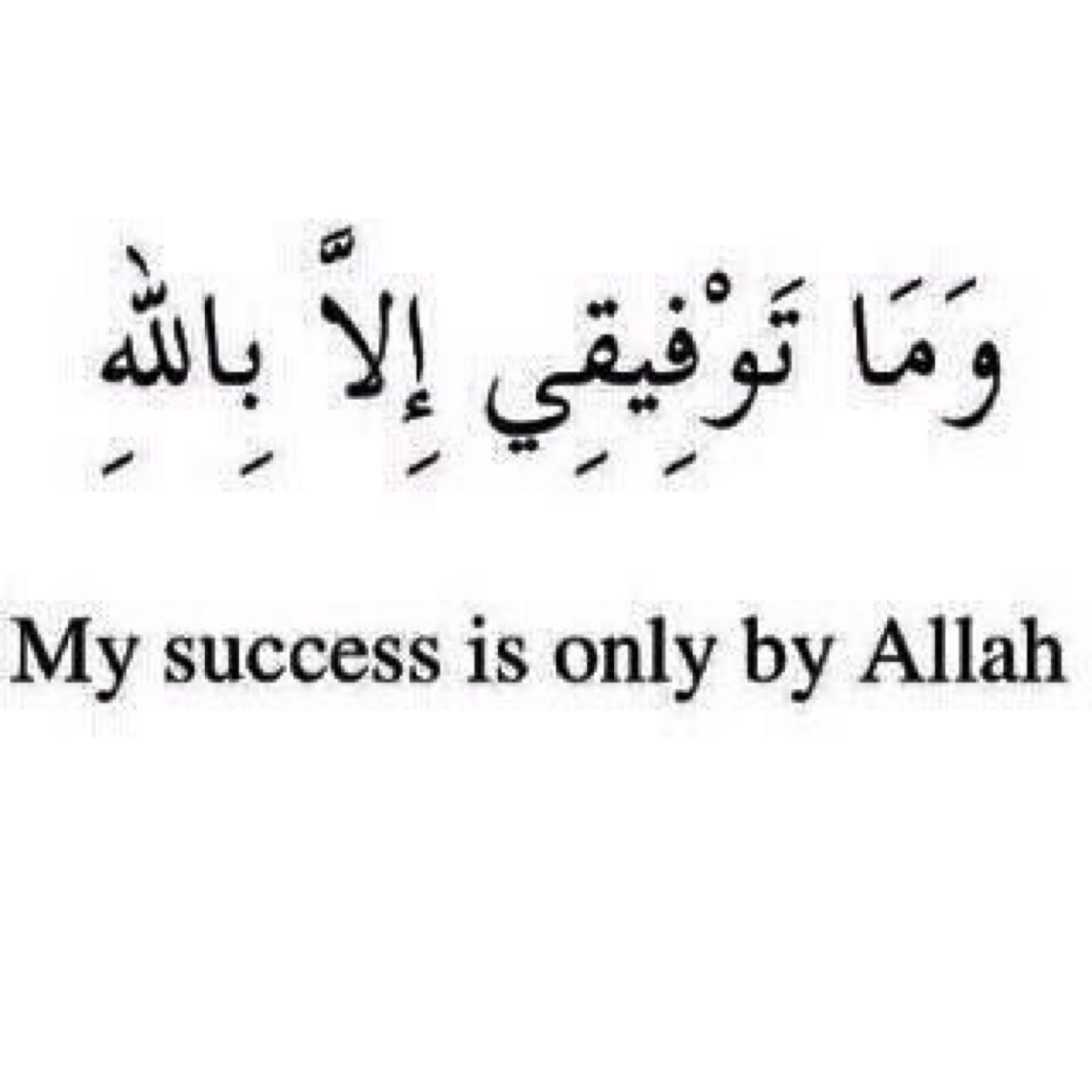 Dodo9798's profile picture. 