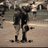 MccolloughDoug's profile image