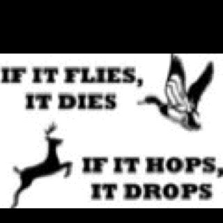 #flyHighMadison #flyHighChance