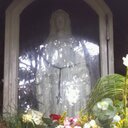 dalia roman - @droman66 - Twitter