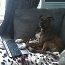 Pam Casey - @CaseyKid3 - Twitter