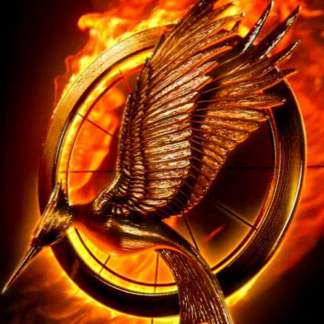 mandypandy241's profile picture. hungєr gαmєѕ+dívєrgєnt=lífє