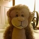 suzy gardner - @suzyg64 - Twitter