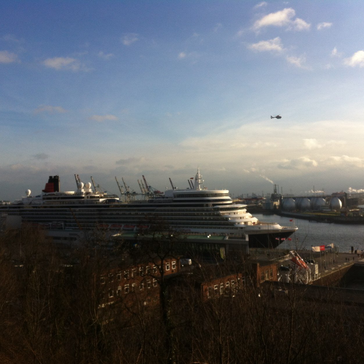 GMirkovic's profile picture. 