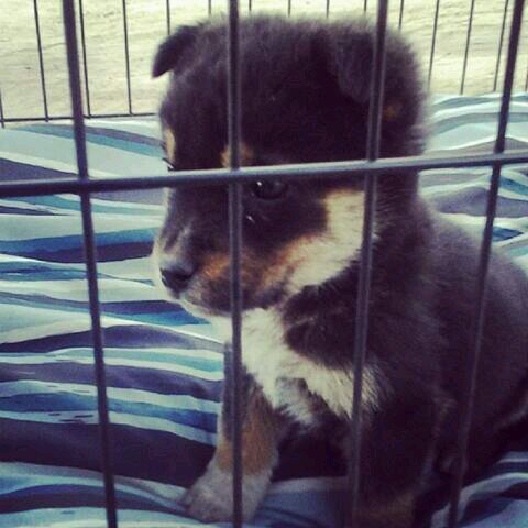 vfgdtryhgbn's profile picture. 