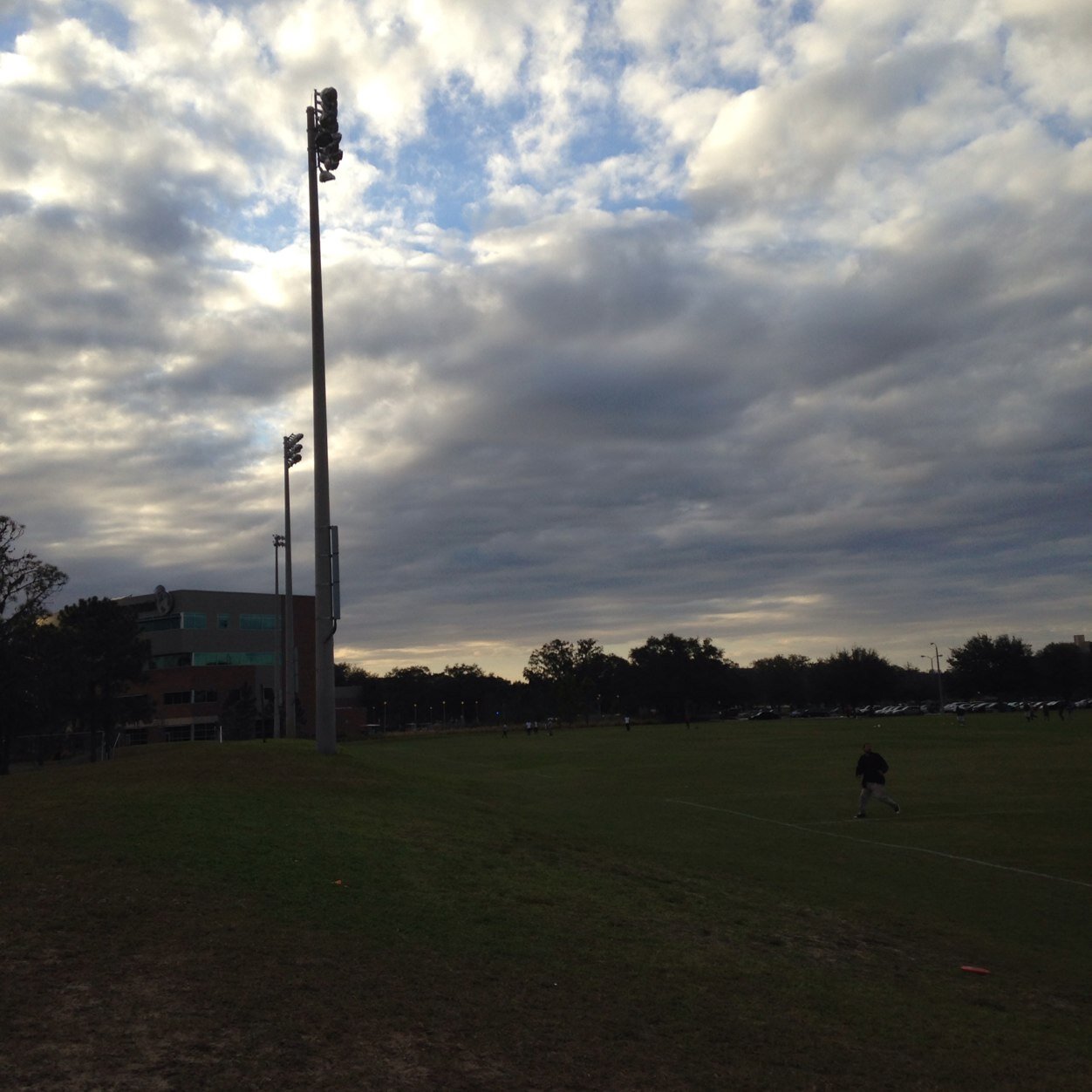 hatazi's profile picture. 