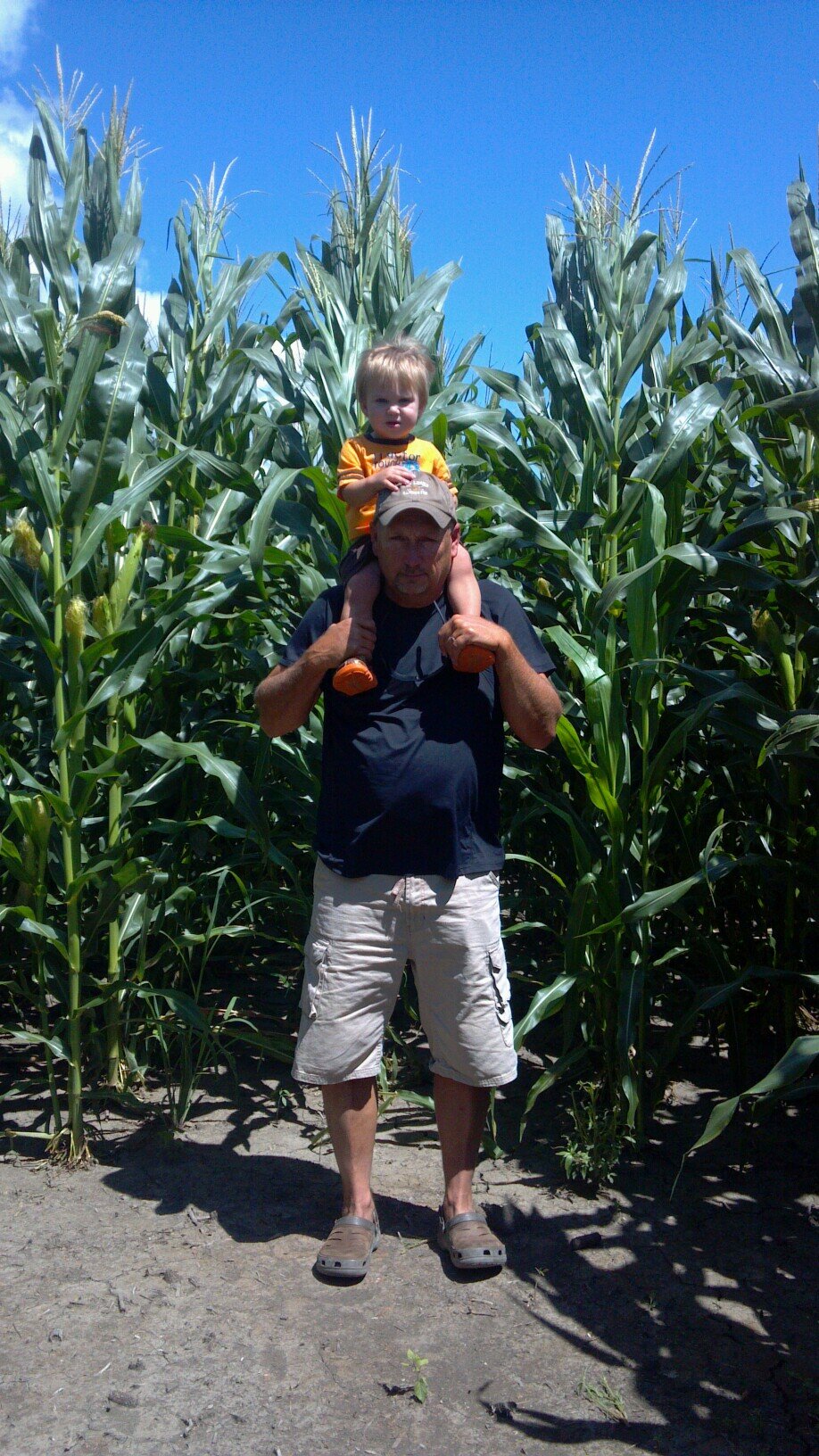 President of Sisson Farms Inc. in Clinton Indiana. Father of 5 great kids. Love farming and family life.