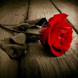 ..أعتذر الخاص مهمل..