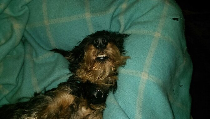 pad_kennedy's profile picture. 