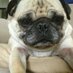 Lucy (@lellis230) Twitter profile photo