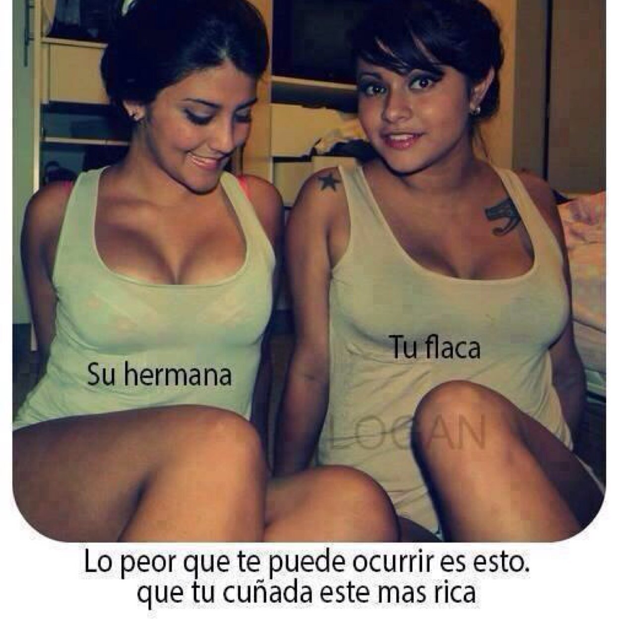 Frases y pensamientos perrones de la vida