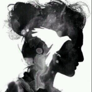 al3noad84's profile picture. 