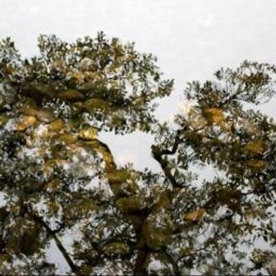 en_JS Twitter Profile Image