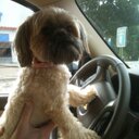 Nancy Cheatham - @NWCheatham - Twitter