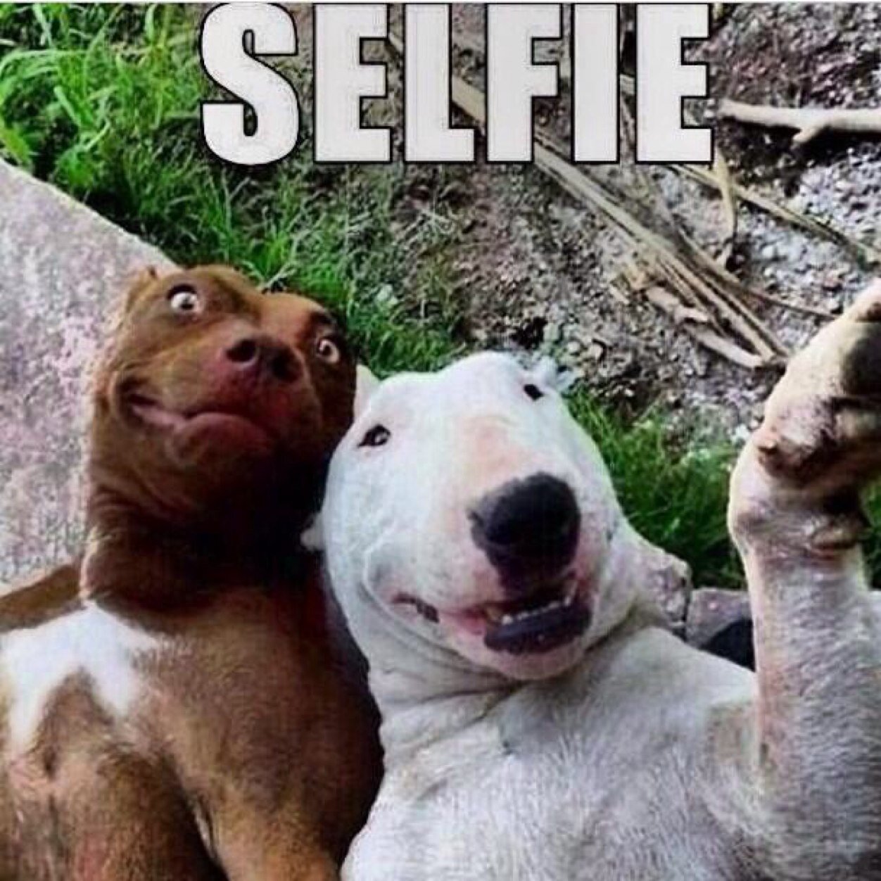 Sahyounnie's profile picture. Let me see your hips swinggg