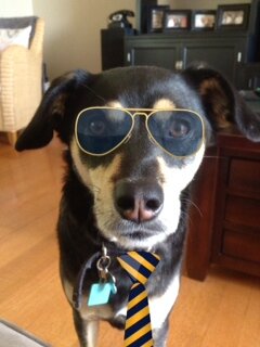Livin' the good life in PV in this dog eat dog world.
