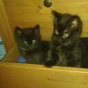 Leanne Marie Mccann - @redheadleanne - Twitter