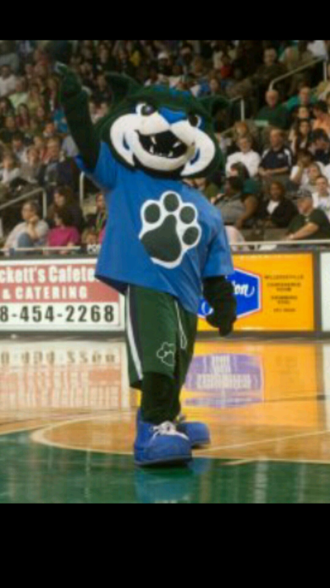 BobcatThunder's profile picture. Support your GSCU Bobcats!