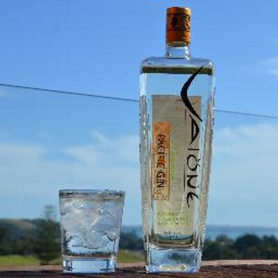 Profile Picture of Vaione Gin (@VaioneGin) on Twitter