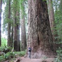 Kurt Vandegrift (@kurtvandegrift) 's Twitter Profile