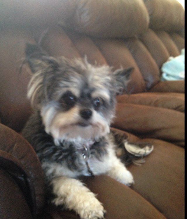 TomBeneke's profile picture. 