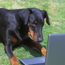 Greg Simpson - @tpiguyca - Twitter