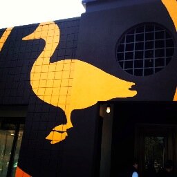 luckyduckbysq1's profile picture. 