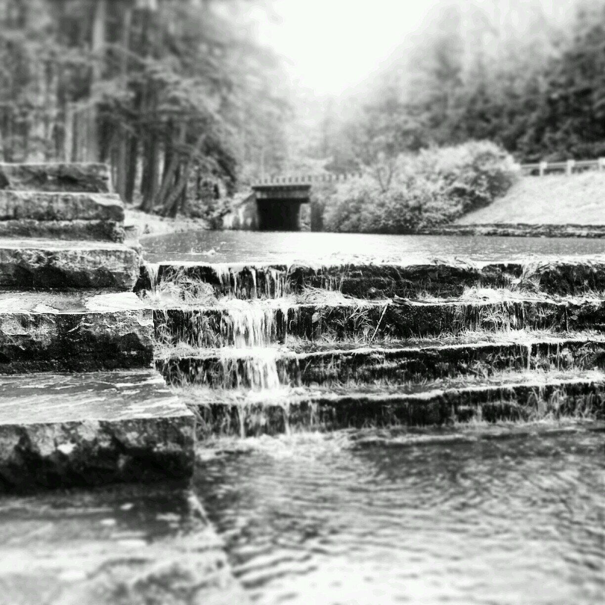 musicflare87's profile picture. 26. Shy, amateur writer, photographer, artist, & fulltime caregiver. I swear like a sailor, am addicted to music and read WAY too much.