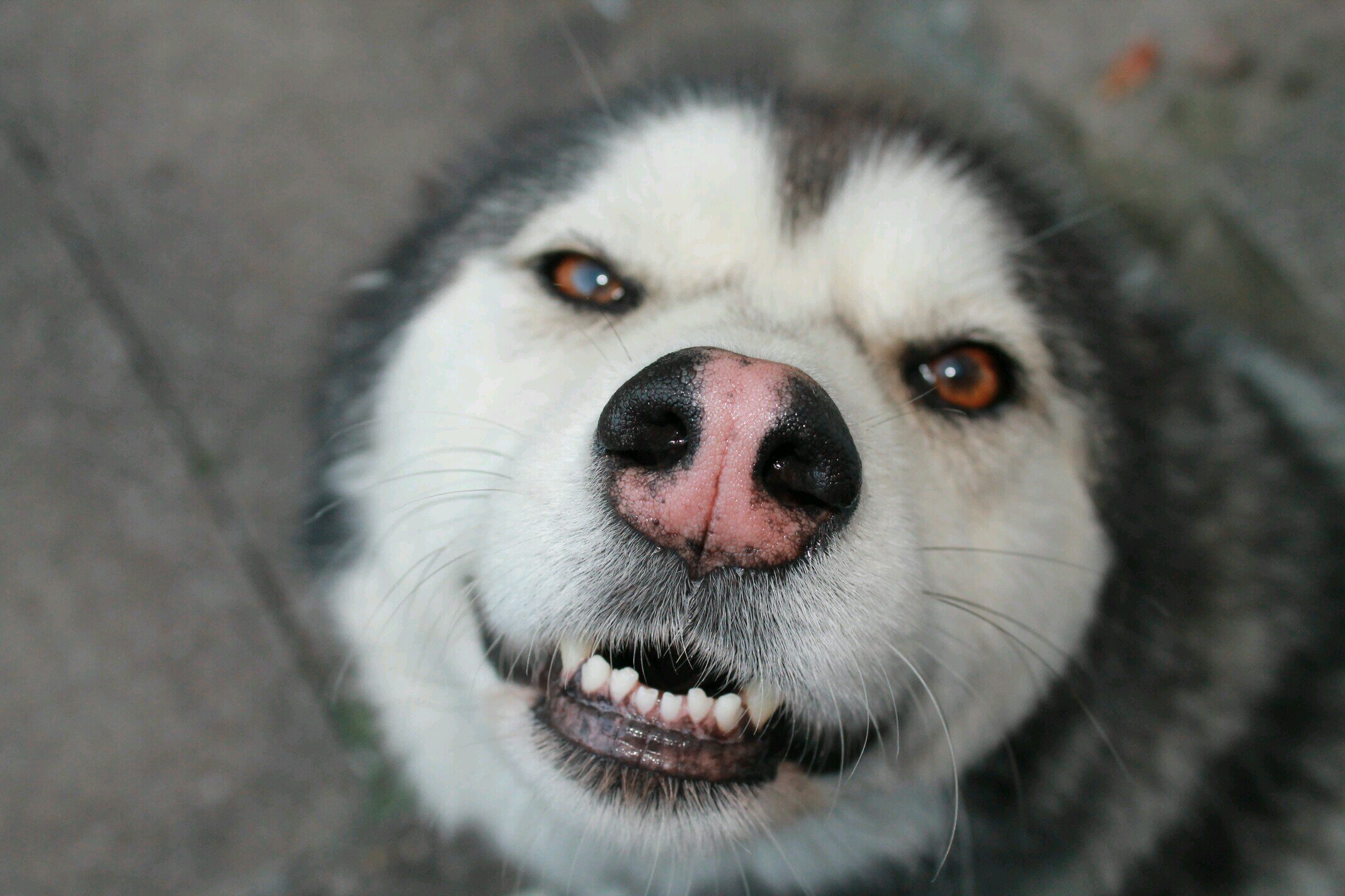 wazbari84's profile picture. 