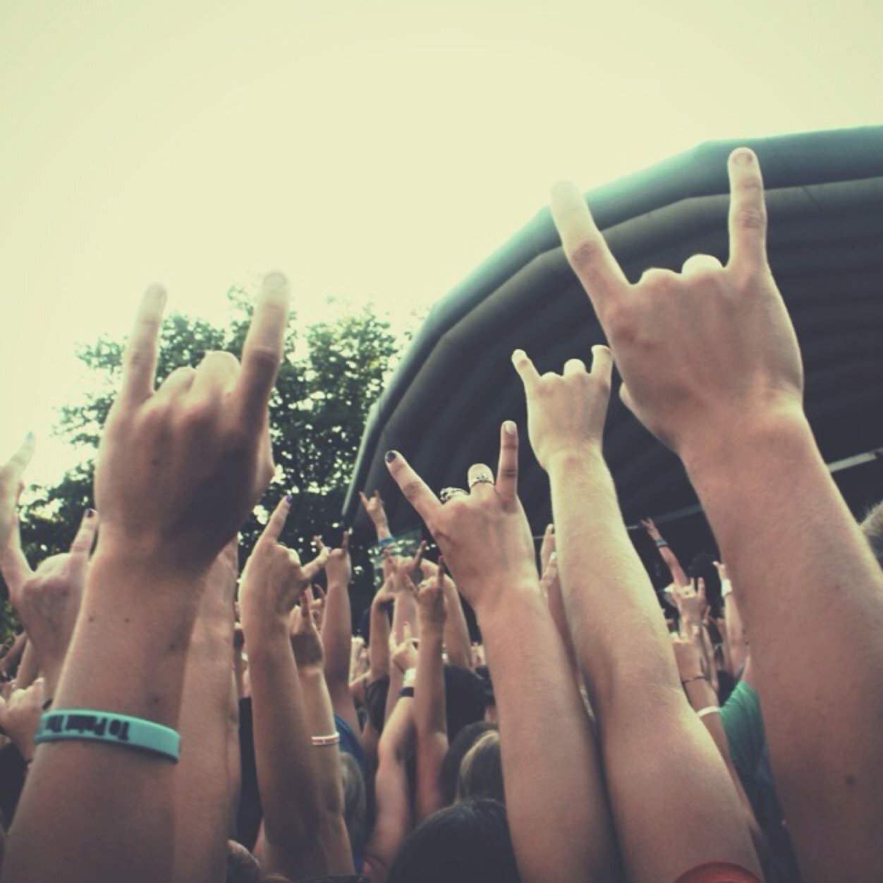Idk man I just really like bands..