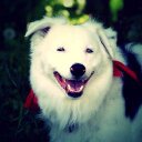 Andrew Gulick - @FMTucker - Twitter