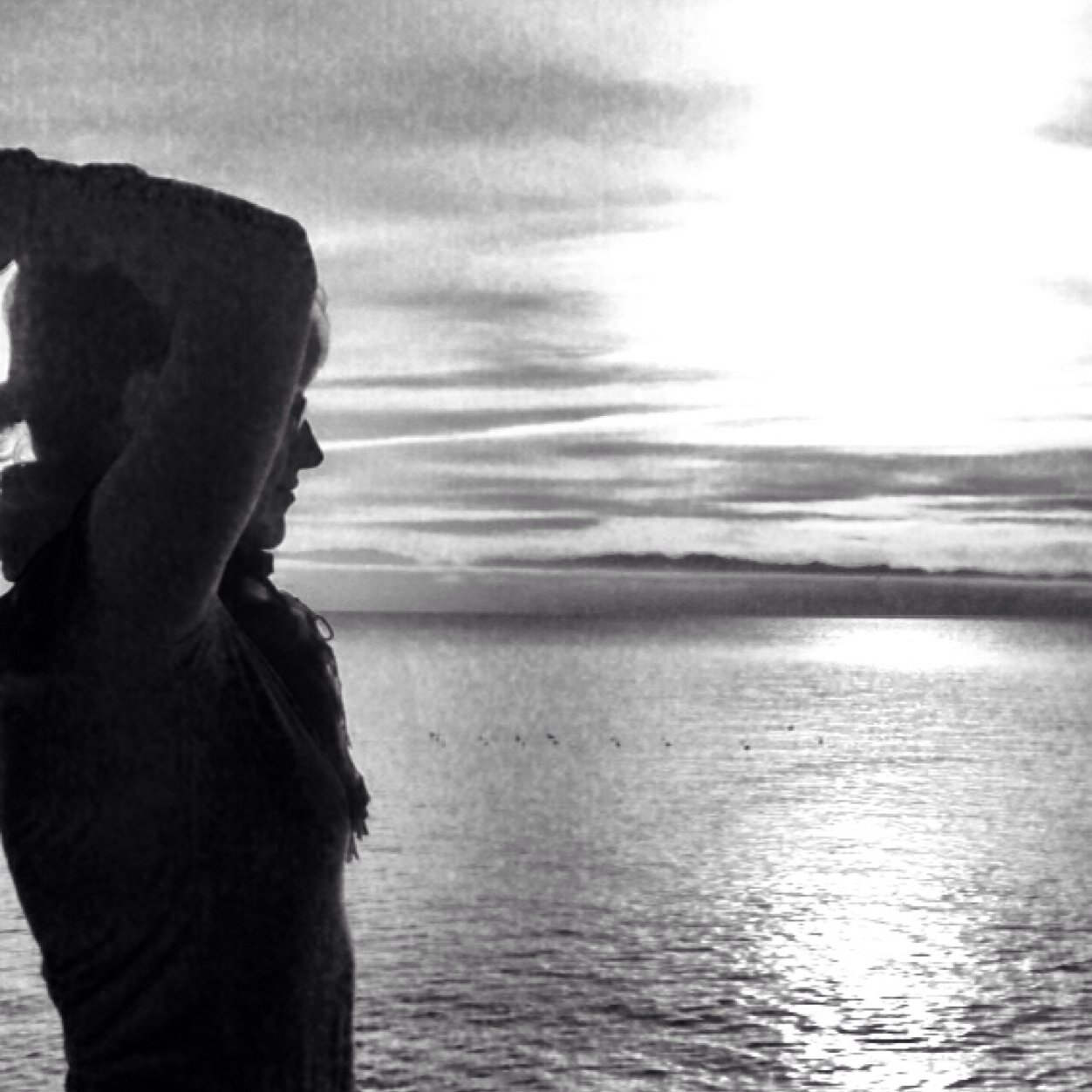 freshlyfabulous's profile picture. self-taught chef | full-time event planner | lover of all things high calorie & fattening | weight loss success story