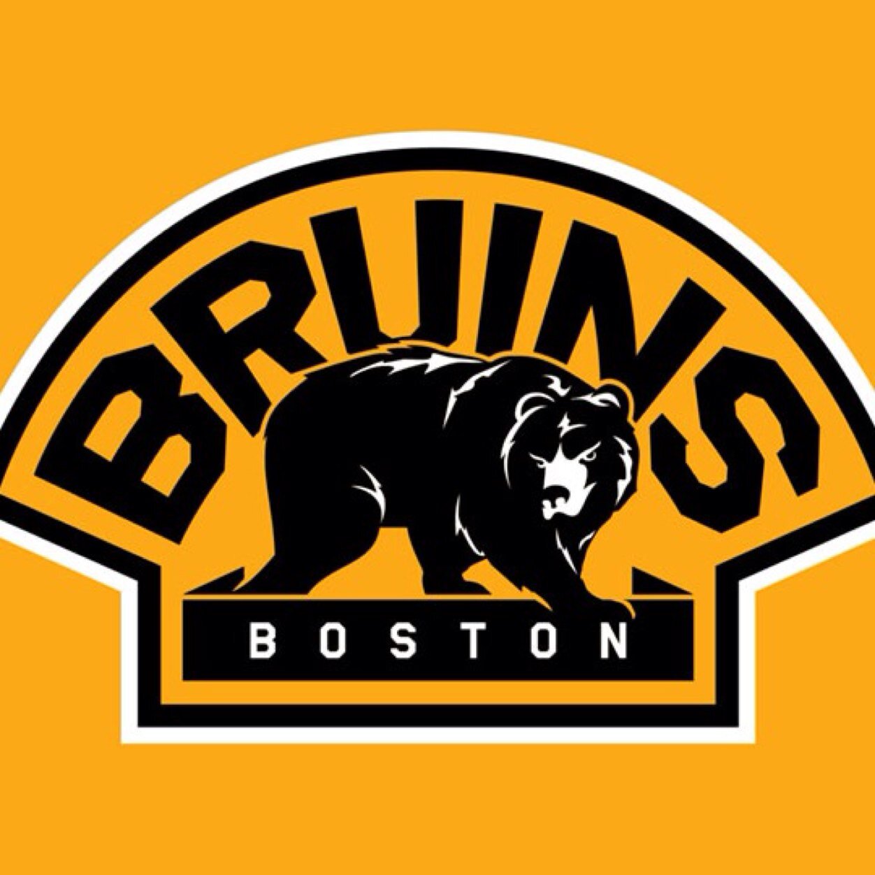 Die heart Bruins fan
