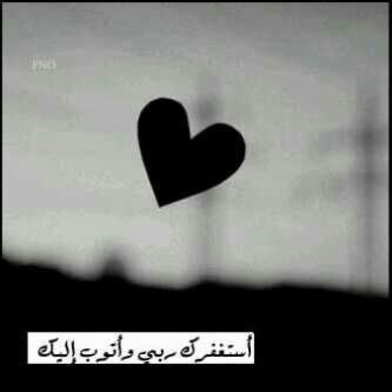 Bashayer_n2's profile picture. 